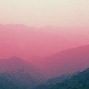 Meet your Posher, Yara